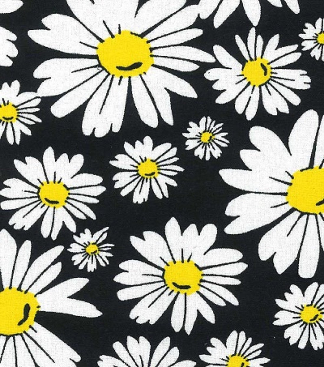 Black Daisy