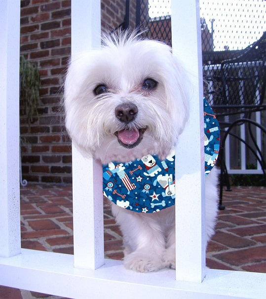 Patriotic Puppy